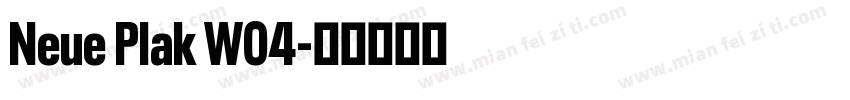 Neue Plak W04字体转换
